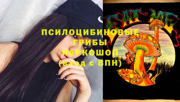 jwh Белокуриха