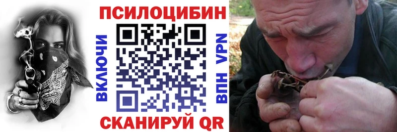 сайты даркнета наркотические препараты  Саяногорск  Галлюциногенные грибы мицелий 
